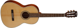 L 100P