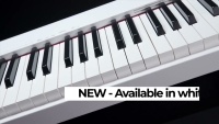 CASIO CDP-S110