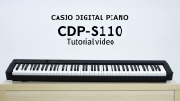 CASIO CDP-S110