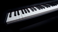 CASIO CDP-S110