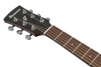 Ibanez PJ50E-OAH