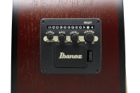 Ibanez PJ50E-OAH